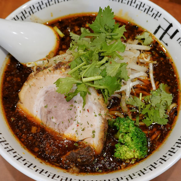 「スパイス・ラー麺 880円（パクチー）」@スパイス・ラー麺 卍力 秋葉原店の写真