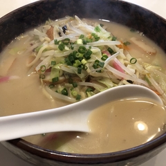 長崎ちゃんぽん 南宝亭 溝の口店の画像