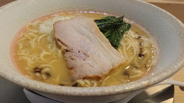 「【限定】鶏白湯」@中華そば すばる食堂の写真