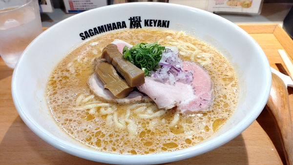 「【夜】味噌ら〜めん」@Sagamihara 欅の写真