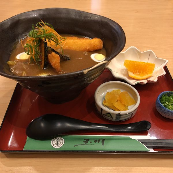 「豊橋カレーうどん＋イカ棒フライ」@玉川 豊橋広小路本店の写真