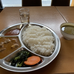 サンサルの画像