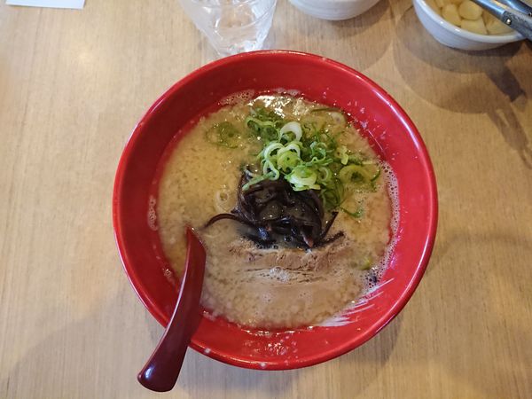 「背脂とんこつラーメン￥850 ライスサービス」@博多流 斗樹 八丁堀店の写真
