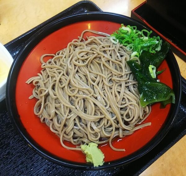 「冷やしかけそば404円」@吉野家 山形西バイパス店の写真