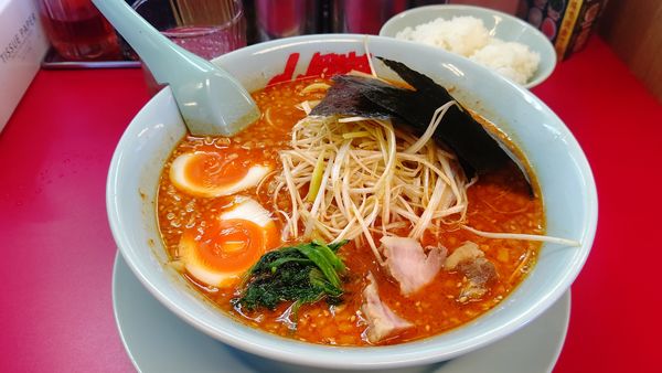 「辛味噌ネギラーメン激辛＋半ライス1000円」@ラーメン山岡家 富山田尻店の写真