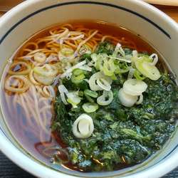 春菊天そば480円