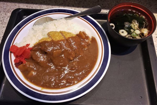 「カツカレー（600円）」@名代 富士そば 昭和通り店の写真