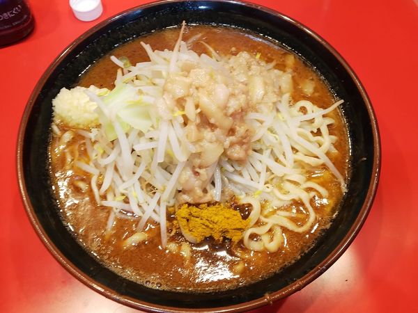 「【限定】みそらーめん＋カレー　にんにくあぶら増し　950＋50円」@麺屋 桐龍の写真