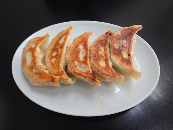 「餃子5個(450円)」@佐野ラーメン いってつの写真