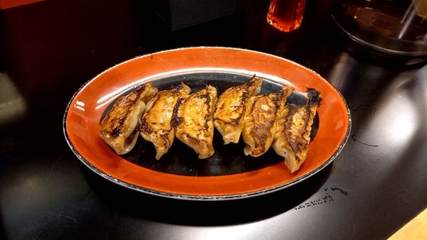 「自家製餃子」@麺処 しろくの写真