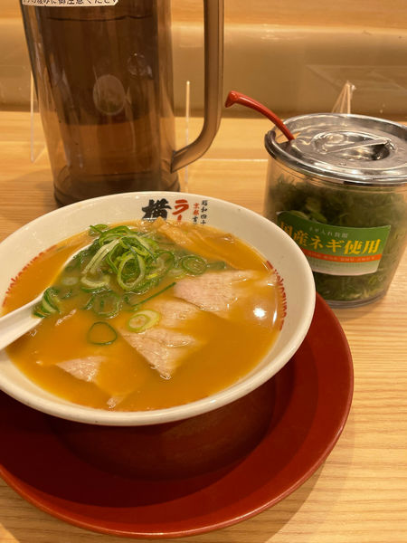 「ラーメン(並)」@ラーメン 横綱 南インター店の写真