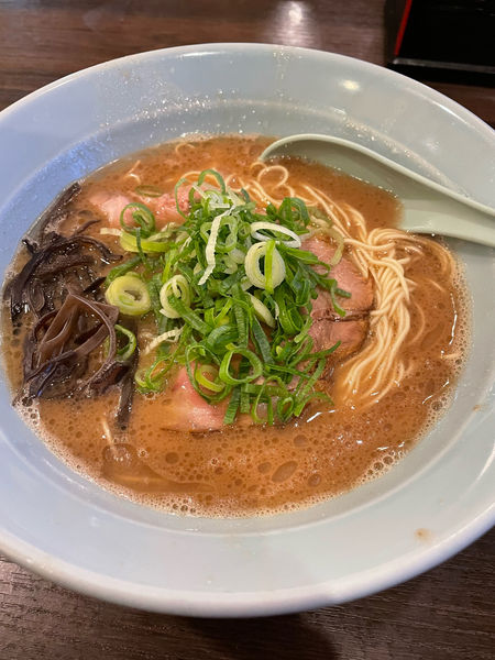 「のうとんラーメン」@博多とんこつ 真咲雄の写真