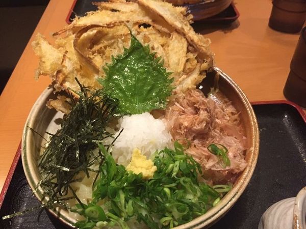 「ごぼう天おろしぶっかけ」@大地のうどん 博多駅ちかてんの写真