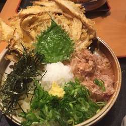 ごぼう天おろしぶっかけ