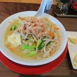 濃厚鶏白湯タンメン