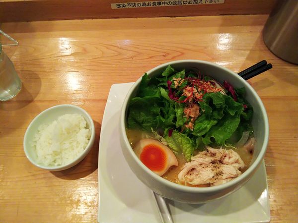 「鶏白湯麺塩そば税込880円」@鶏白湯麺 蔭山 高田馬場店の写真