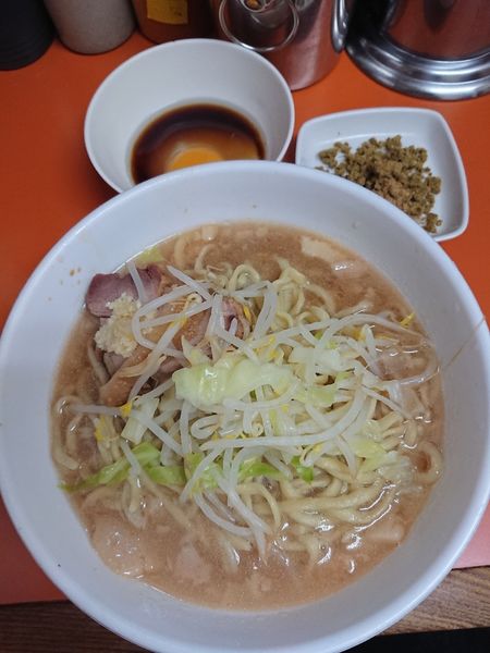 「少なめより少なめ ＋和っ！カレー＋つけたま！」@ラーメン二郎 相模大野店の写真