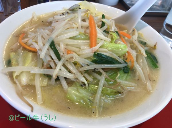 「濃厚鶏白湯タンメン(850円)」@濃厚鶏白湯タンメン まつ井の写真