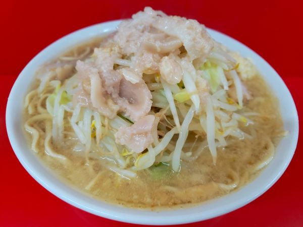 「小(麺半分) 750円」@ラーメン二郎 神田神保町店の写真