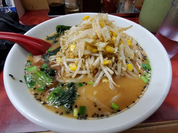 「味噌ラーメン８００円」@らーめん ドラごんちの写真