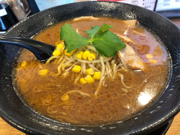 「濃厚味噌ラーメン」@麺彩kitchen あひる食堂の写真