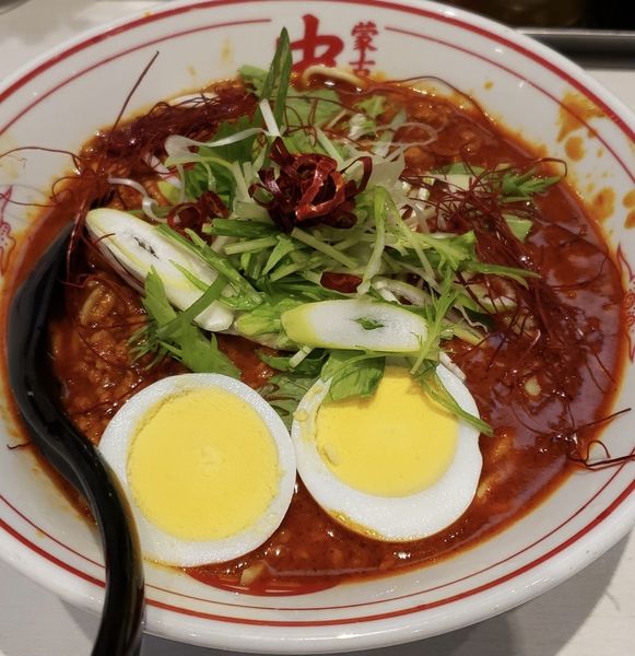 「炎極 930円」@蒙古タンメン中本 秋津店の写真