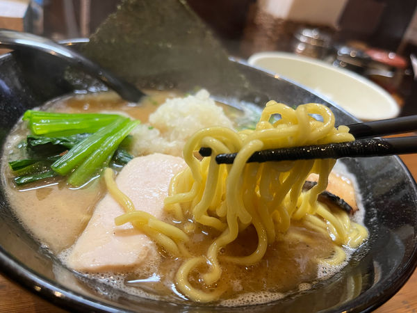 「鶏白湯らーめん　800円」@三代目麺処 「まるは」極 船橋店の写真