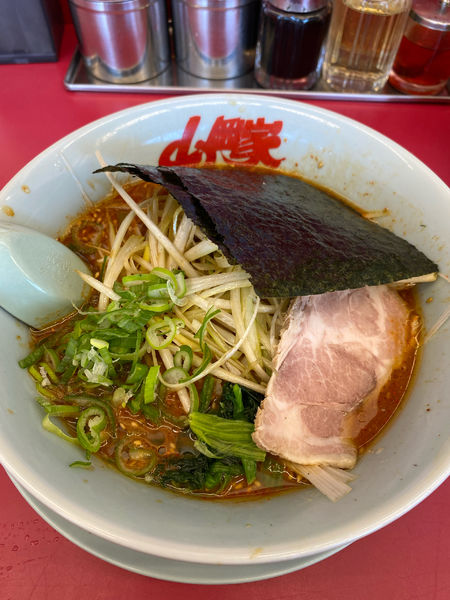 「辛味噌ラーメン」@ラーメン山岡家 伊勢崎宮子店の写真