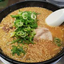 味噌ラーメン　：太麺