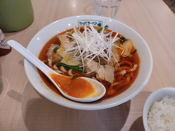 「カツタン　期間限定」@らーめん カッパハウスの写真