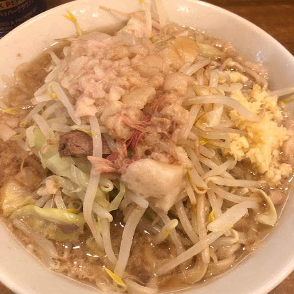 「小ラーメン 750円」@ラーメン二郎 前橋千代田町店の写真