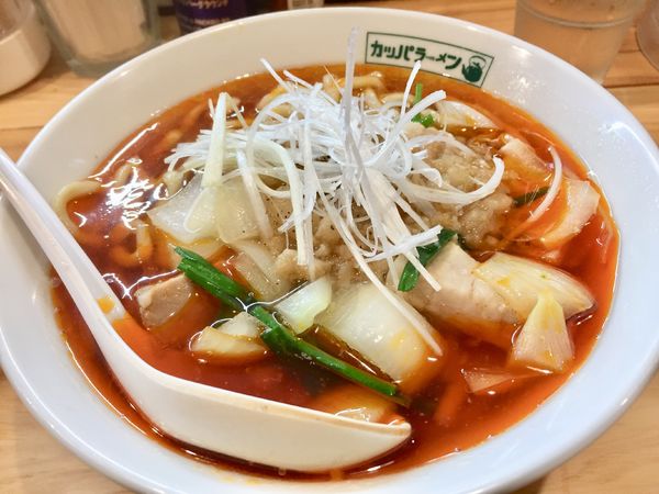 「【限定】カツウラ風タンタン【850円】」@らーめん カッパハウスの写真