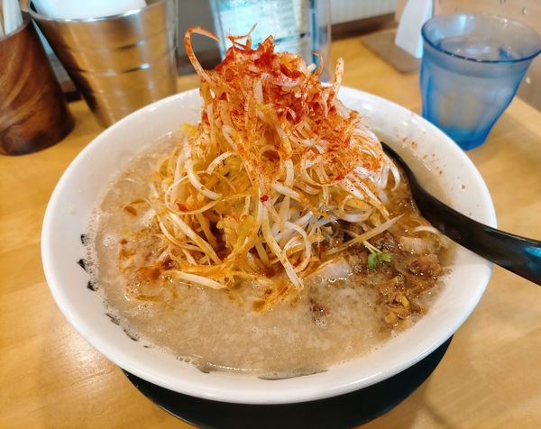 「ネギラーメン900円」@ラーメンのまめぞう 越谷レイクタウン店の写真
