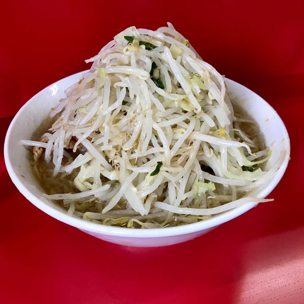 「ラーメン（少なめ、ヤサイ）￥600」@ラーメン二郎 三田本店の写真