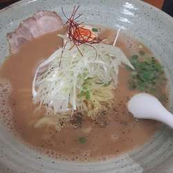 鶏白湯ラーメン 醤油