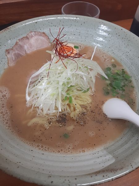 「鶏白湯ラーメン 醤油」@らぁめん 力丸の写真
