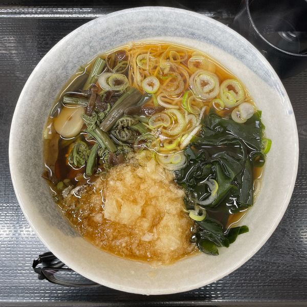 「山菜おろしそば」@信州生そば みのがさ 神田和泉町店の写真
