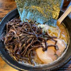 豚骨醤油らーめん 普通盛 太麺