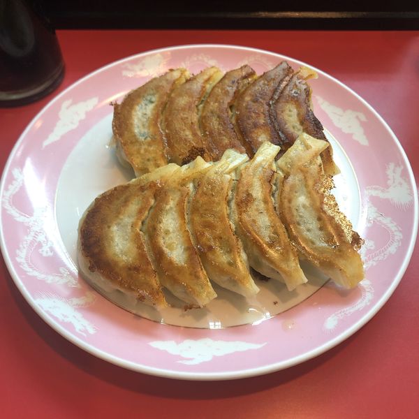 「ぎょうざ 10こ」@餃子のざの写真