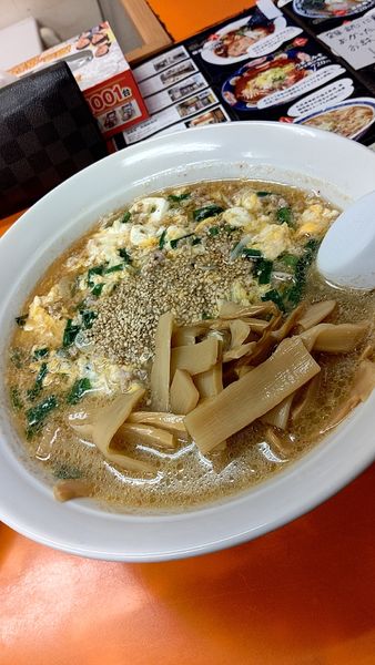 「川崎タンタン麺 750円」@ニュータンメンの写真