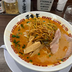 辛ネギ熟成味噌ラーメン