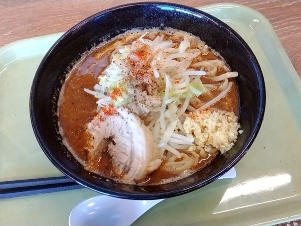 「味噌ラーメン」@ジャンクガレッジ 太田店の写真