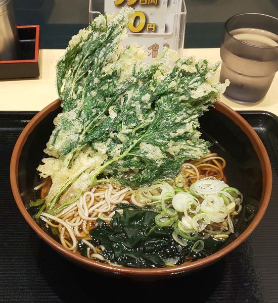 「明日葉天そば」@名代 富士そば 三光町店の写真