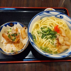 南風 どなんの画像