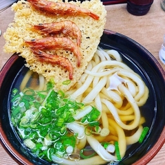 博多讃岐うどんの画像