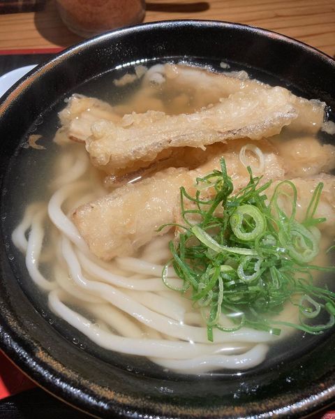 「ごぼう天うどん」@釜喜利うどんの写真