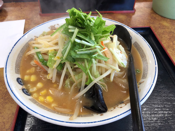 「味噌ラーメン」@山田うどん食堂 高田店の写真