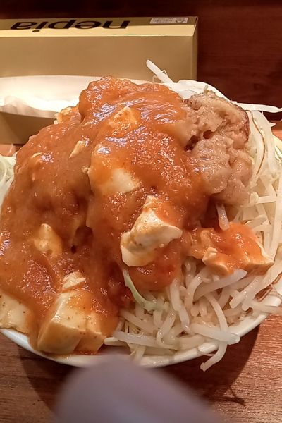 「フュージョン（800円）ヤサイニンニク」@火の豚 人形町駅前店の写真