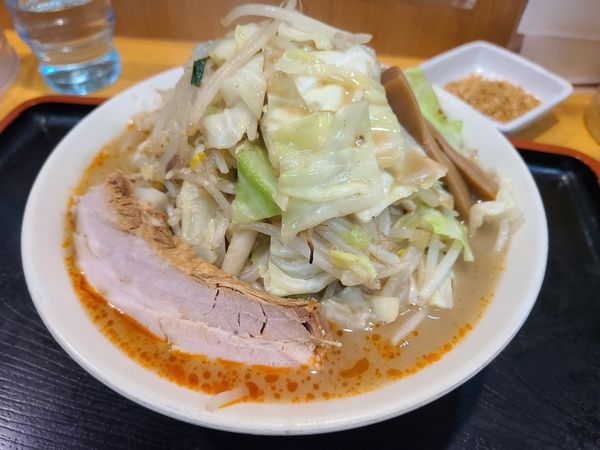 「モリモリ野菜辛味噌」@味噌麺処 花道庵の写真