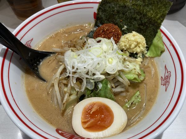 「ピナカラーナ麺半辛おさ」@蒙古タンメン 中本 町田店の写真